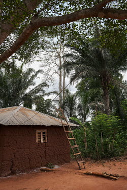 A home in the village of Agonme. The village is bordered by the vestiges of a sacred forest which is now being protected following a Forestry Inspectorate project that sought to demarcate 42 tradition...