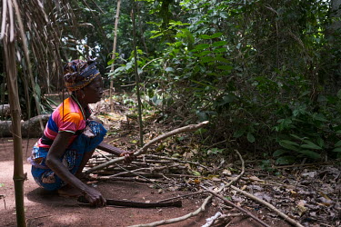 Sessouhouede Anagonou, who estimates her age at 67, collecting fallen wood for her cooking fire in a degraded sacred forest grove in the village of Agonme. The grove is now being protected following a...