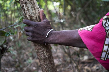 Laissi Achade, 40, an eco-guard, rests against a tree in a sacred forest in Kikele. The forest is home to approximately 30 white-thighed colobus monkeys (Colobus vellerosus), one of the last remaining...