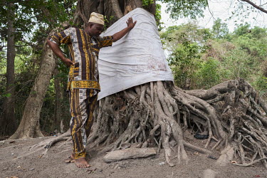Traditional priest Yatta Chabi Ota with a sacred tree on the edge of a sacred forest in Kikele. The forest is home to approximately 30 white-thighed colobus monkeys (Colobus vellerosus), one of the la...