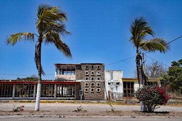 Deserted buildings and palm trees.