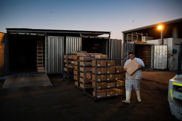 A worker at Warroo Game Meats moves frozen meat products into containers early in the morning. The indigenous run business, Warroo Game Meats, has been harvesting kangaroos for meat and skins for over...