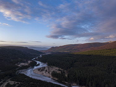 The River Feshie, flowing through the glen of the same name in the Scottish Highlands, is flag ship site for rewilding after deer numbers were reduced from 45 to 2 deer/km2 to allow natural regenerati...