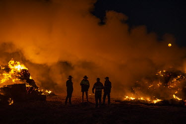 Farmer Greg Younghusband drinks beer with fellow farmers after burning approximately 130 bales of hay that have been destroyed by mice, valued at $200-$250 each, are set on fire at the farm of Greg Yo...