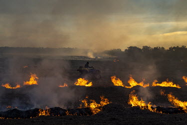 A farmer drives his quad bike past a field deliberately set on fire.  In 2021, farming areas in southeastern, southern and western Australia faced a massive infestation of mice which ruined millions o...