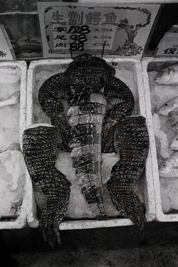Crocodile body parts are kept on ice at The Yumin Restaurant.