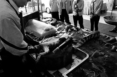 Inside one of the most expensive restaurants in Guangdong a crocodile is gutted after it has been killed for lunch time customers.