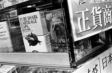 Medicinal products made from sharks and other sealife on sale at a street stall.