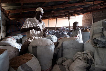 Alhassan Anko being watched by his son, Abdul Mum, as he seals sacks of rice bran at Tamanaa Rice Processing Factory. Tamanaa is supported by the Competitive African Rice Initiative (CARI), which aims...