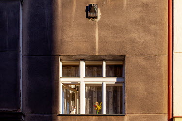 A cat sunbathing in a window of an apartment in Zizkov.