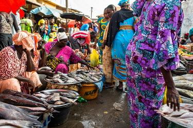 Women selling fish in the city's main market.