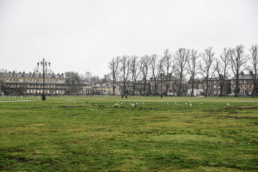 The usually busy parkland known as Parker's Piece, surrounded by university buildings, is deserted during the United Kingdom's third lockdown as a variant of COVID-19 is causing increases in numbers o...