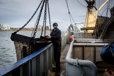 Crewmember Steve Bennet collects nets into a trawler of mussel producing company Deepdock Ltd as the boat heads out into the Menai Strait to collect mussels which the company sells to the EU. The comp...
