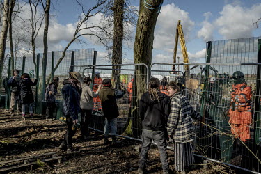 Protesters in the 'Poors Peace' protest camp, that was partially evicted the week previously, watch as tree surgeons fell trees to make way for the HS2 high speed rail link.