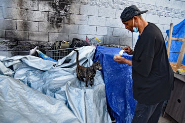 Anthony, a homeless veteran who who has a job, feeds his cat.  Thousands of homeless people camp out in the centre of Los Angeles, in an area of about 50 blocks. In greater Los Angeles, there are 70,0...