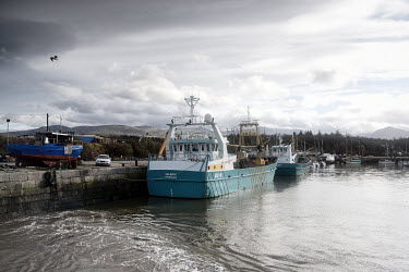 A mussel collecting trawler is moored at Port Penrhyn where mussel production company Deepdock Ltd harvest mussels in the Menai Strait. The company has collected and sold mussels into the EU since the...