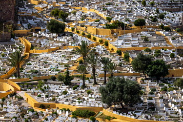 The city's Muslim cemetery.