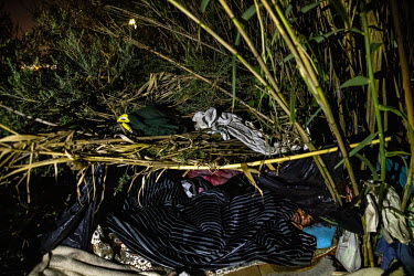 A migrant sleeps in undergrowth beside Benitez Beach in the Spanish exclave of Ceuta.
