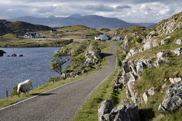 A narrow road winds its way through the hills on Harris's east coast.