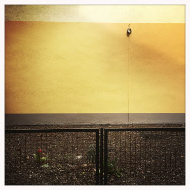 The facade of a house and a lone tulip in Moabit.  The Berlin district of Moabit is an artificial island completely surrounded by water that was once home to various industries and staunchly working-c...