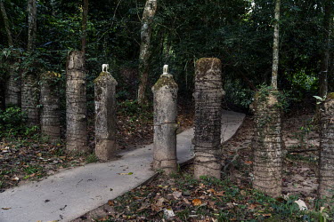 Barbed wire wrapped posts in Khao Yai National Park designed to stop elephants accessing a path through the jungle leading to Haew Narok Waterfall where several of the animals have fallen to their dea...