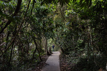 A visitor walks along a path through the jungle leading to Haew Narok Waterfall in Khao Yai National Park.