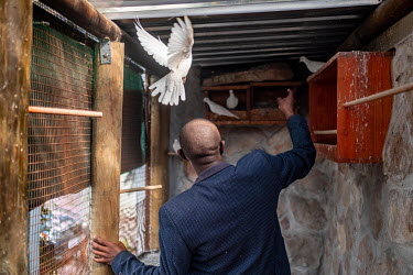 Star student of the Cape Town College of Magic Anele Dyasi reaches out for a white dove. The doves are used in magic tricks. Dyasi, who comes from one of Cape Town's poorest townships, says his life h...