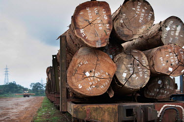 Large tree trunks lie on railway carriages in the Gabon Special Economic Zone, a controlled hub for the extraction of timber on a sustainable basis. All timber is traced. Gabon is looking to refocus i...