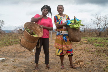 Chanto Debako (left, 55) and Marie Christine (58) with their daily harvests of crops from their manioc ( cassava ) and banana plantations. The plots of land are now protected by electric fences to kee...
