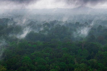 A forest canopy in the mist, visible from the air in the Congo Basin rain forest in Gabon. Gabon is looking to refocus its national economy to sustainable forestry due to declining oil reserves. The C...
