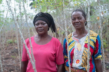 Chanto Debako (left, 55) and Marie Christine (58) returning home with their daily harvests of crops from their manioc ( cassava ) and banana plantations. The plots of land are now protected by electri...