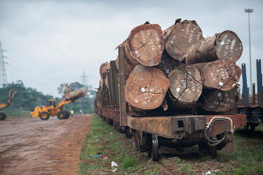 Large tree trunks lie on railway carriages in the Gabon Special Economic Zone, a controlled hub for the extraction of timber on a sustainable basis. All timber is traced. Gabon is looking to refocus i...