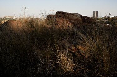 Melville Koppies, one of the few rich prehistoric sites that were left in Johannesburg after the development of gold mines. Today, various spiritual practices of ancestral worship and Zion church serv...