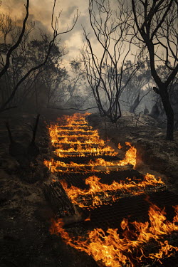 A National Parks Staircase burns after a serious bush fire burnt much of Sydney's North Head. The fire quickly got out of control forcing the evacuation of nearby residents and the destruction of 90 h...