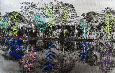 A photograph printed onto linen and embroidered by the photographer.  The Sucayali River, a major tributary of the Amazon, near Pucallpa.