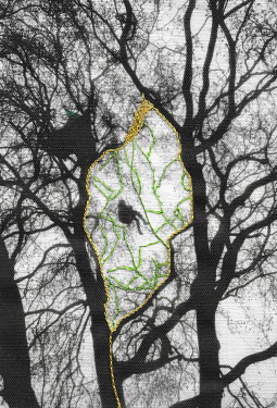 A photograph printed onto cotton and embroidered by the photographer.   Tree protectors occupy trees in Euston Square next to Euston station. The protest was organised to stop the cutting down of tree...