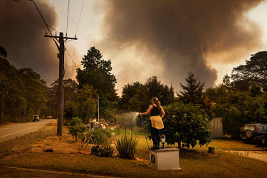 A women sprinkles water on her front yard to ward off an advancing bushfire.
