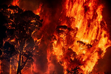A bushfire rips through a wooded area near Yatte Yattah.