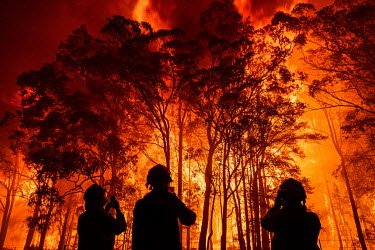 Firefighters stand in front of burning trees in the middle of the Green Wattle Creek fire, just south-west of Sydney.