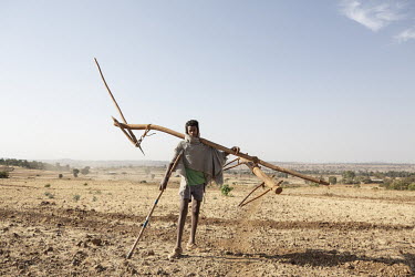 A farmer with a plough stands in farmland surrounding Mekame Meskel church forest.