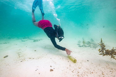 Climate activist Shaama Sandooyea snorkels to collect an empty glass bottle from the seafloor off the coast of Mahe Island, Seychelles.