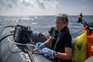 Marine scientist Dr Kirsten Thompson sets up her equipment to collect an eDNA sample on the Saya de Malha Bank in the Indian Ocean.