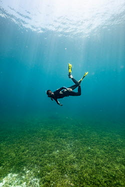 Greenpeace vessel Arctic Sunrise's deckhand and diver Alessandro Montanari explores the world's largest seagrass meadow on the Saya de Malha Bank. A square kilometre of seagrass is believed to be able...