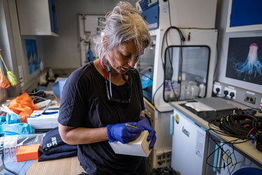 Marine scientist Dr Kirsten Thompson labels an eDNA sample in the laboratory of the Greenpeace vessel Arctic Sunrise, at the Saya de Malha Bank.