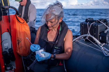 Marine scientist Kirsten Thompson labels an eDNA sample on the Saya de Malha Bank.