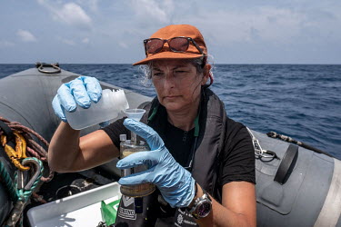 Marine scientist Kirsten Thompson adds a reagent to an eDNA sample in a RIB over the Saya de Malha Bank in the Indian Ocean.
