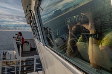 Crew and campaigners watch a pod of spinner dolphins from the Greenpeace vessel Arctic Sunrise during a sightings survey of the Saya de Malha Bank.