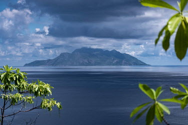 Island and vegetation in the Seychelles.