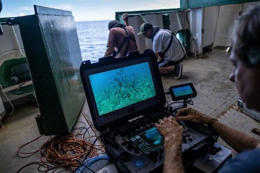 John Murphy watches a shoal of fish on the monitor as he explores the Saya de Malha Bank with an ROV.