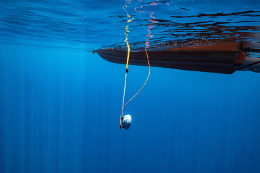 A directional hydrophone is used to track a group of sperm whales near the Seychelles.